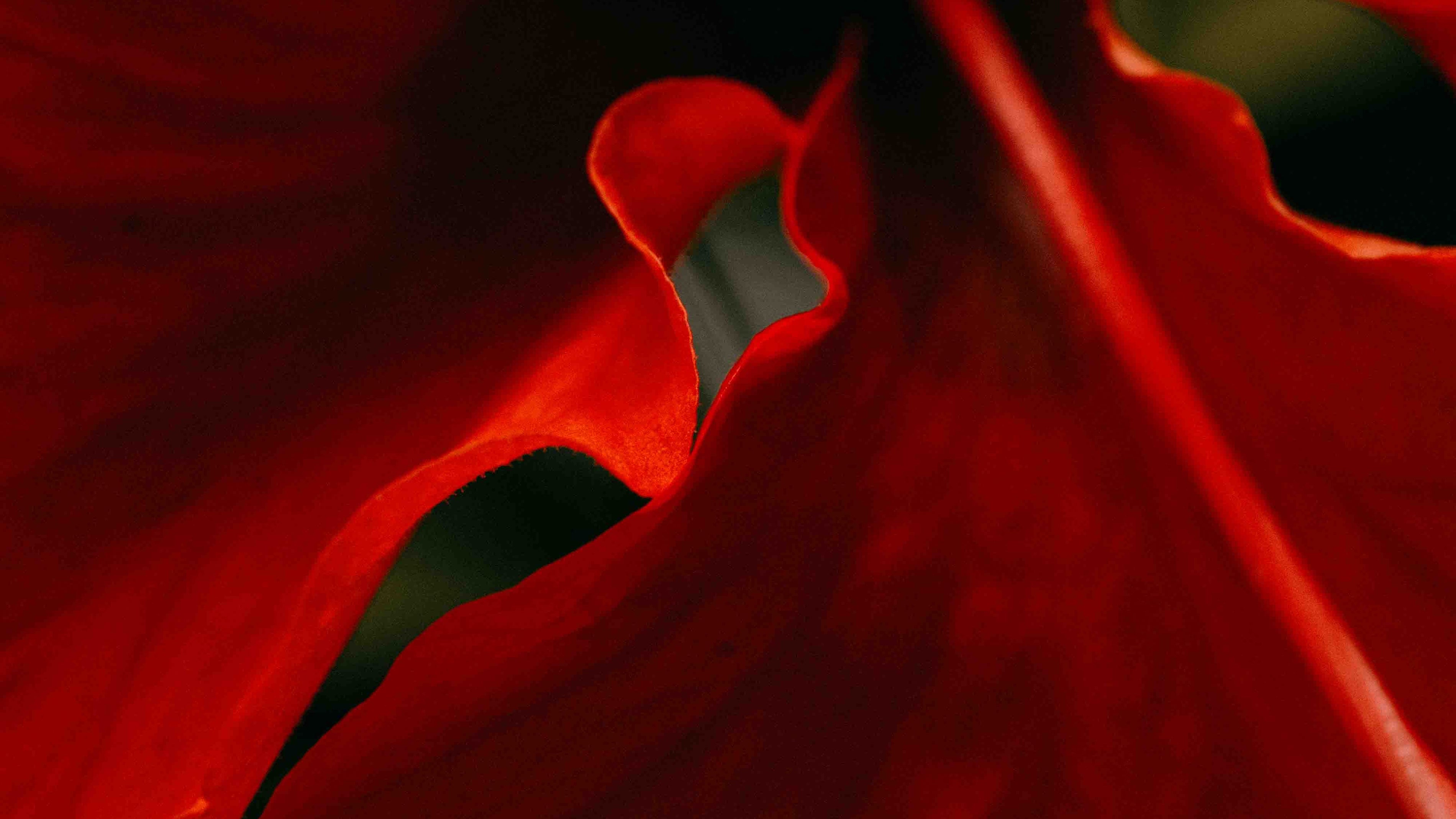 What Makes My Art Different (And Why That Matters)