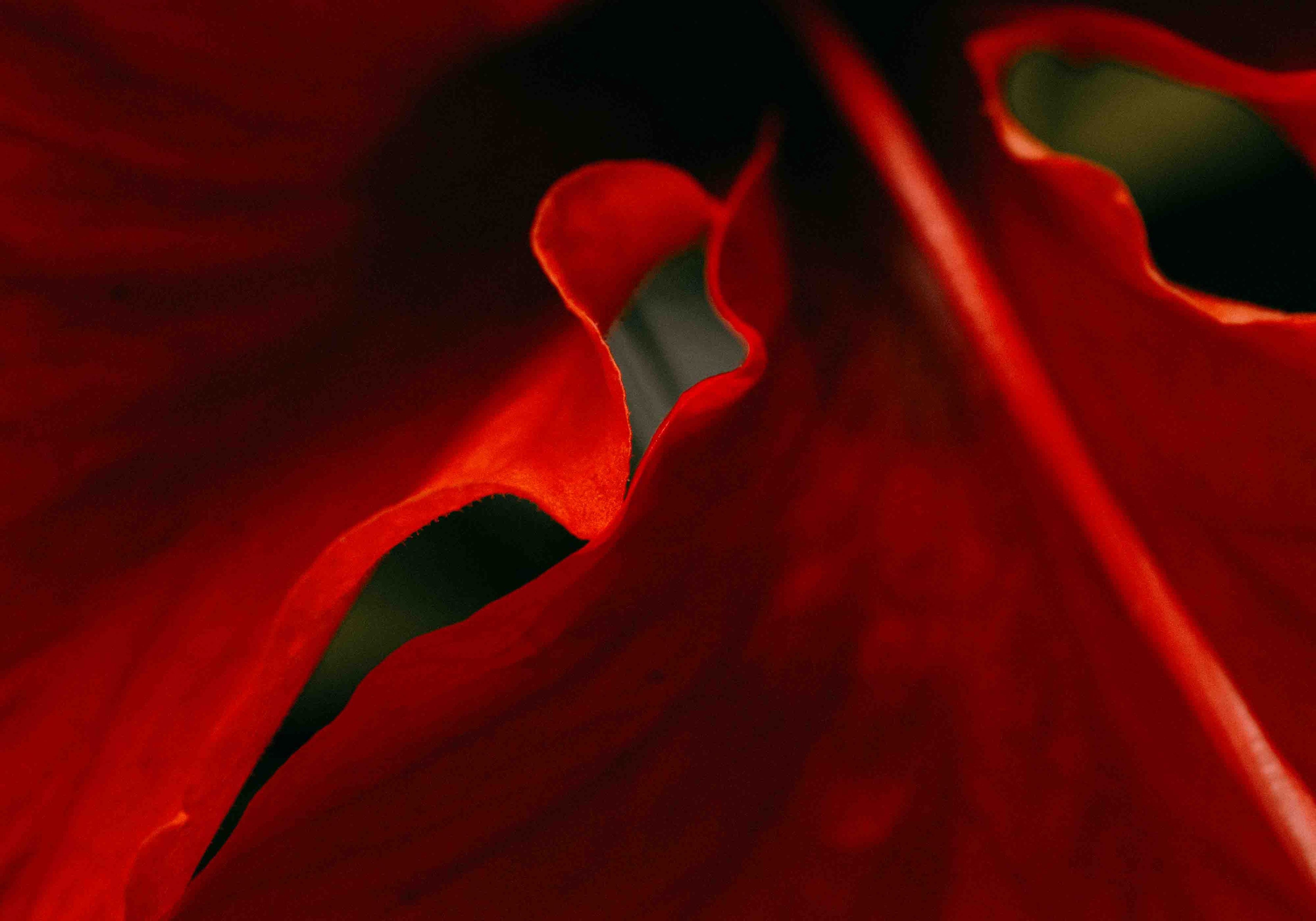 What Makes My Art Different (And Why That Matters)