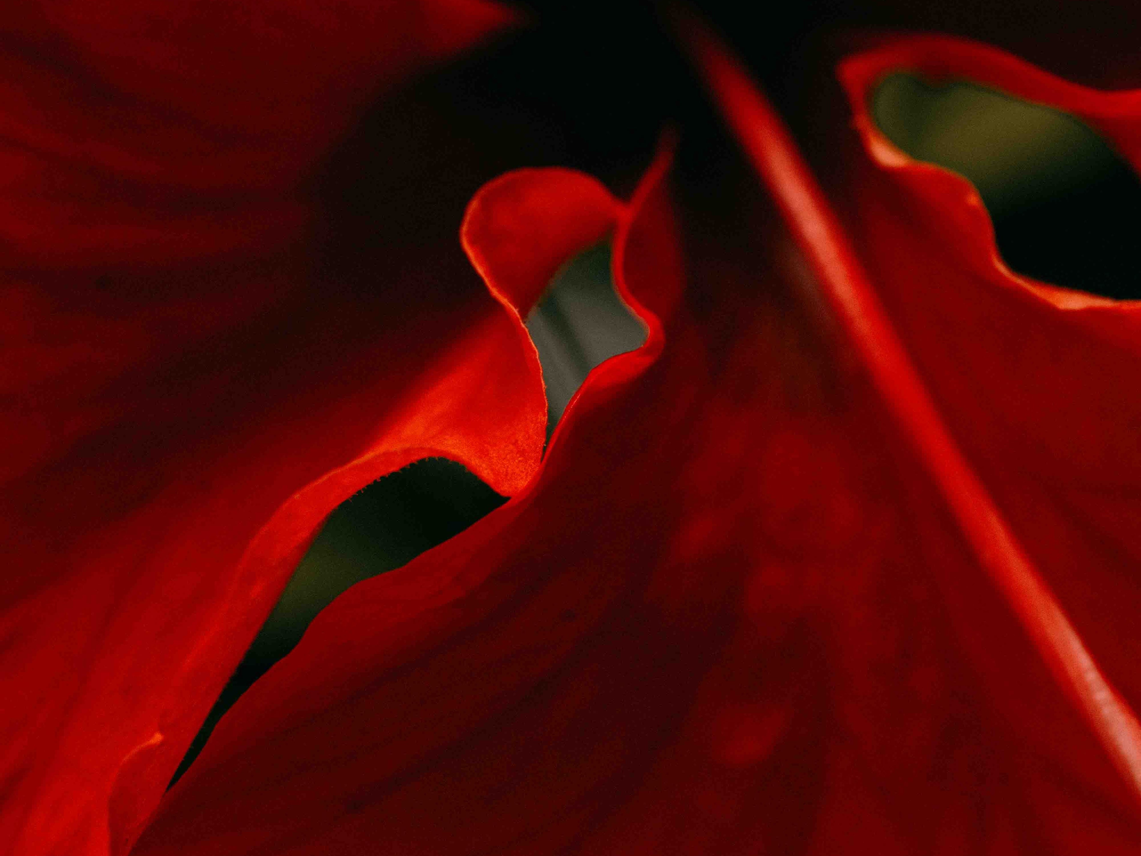 What Makes My Art Different (And Why That Matters)