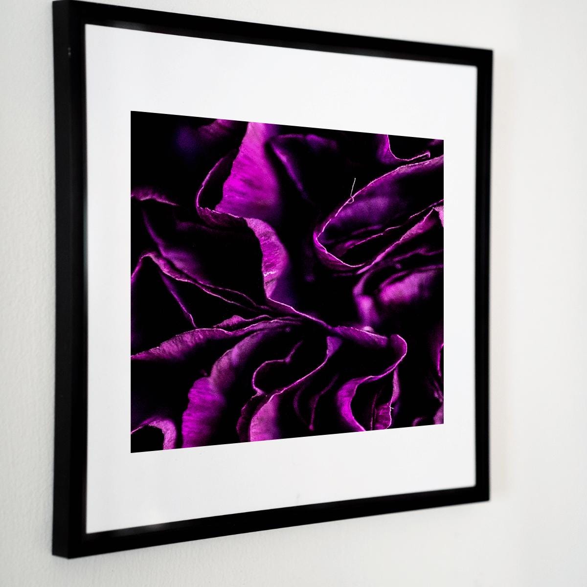 Purple Bloom - Macro Flower Fine Art Print | Bold & Vibrant Floral Photography | Violet Wall Decor