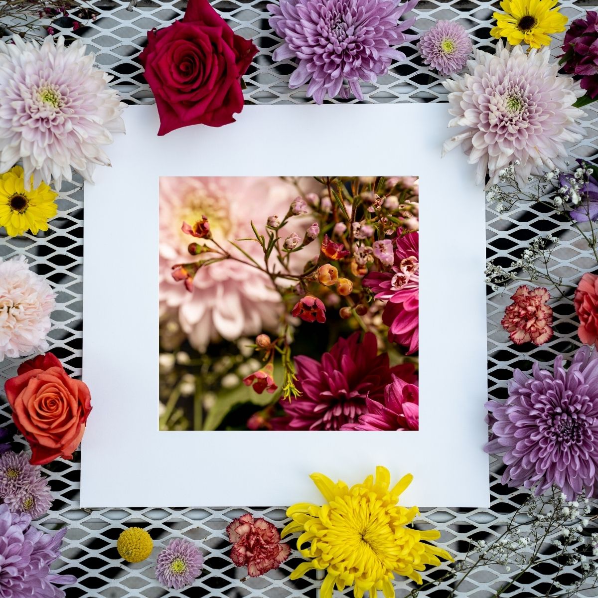 Blush - Delicate Textured Pink Chrysanthemum Flower Photo Art Print, Nature Home Decor, Gifts for Gardeners