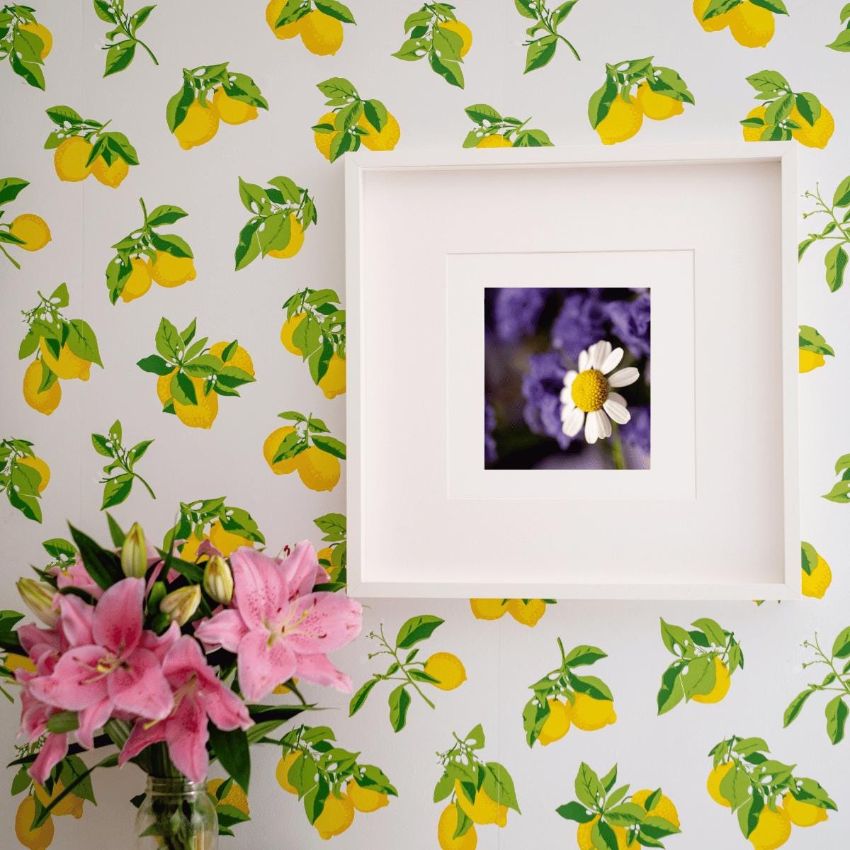 Delicate Daisy Macro Photography Print | Fine Art Floral Wall Decor | Nature-Inspired Botanical Print