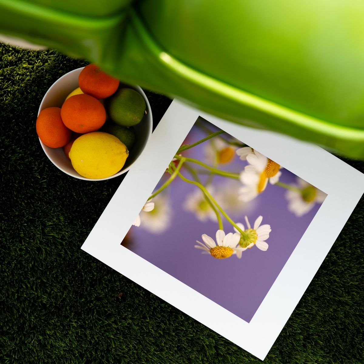 Lavender Skies - Mindfulness Chamomile Flower Photo Print, Meditation Space Wall Art, Calming Photography