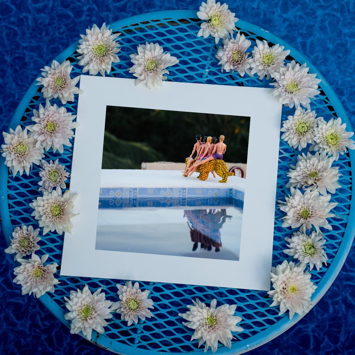 Jaguar Throne – Resort Royalty in Akumal, Mexico, Fun Home Decor Gift