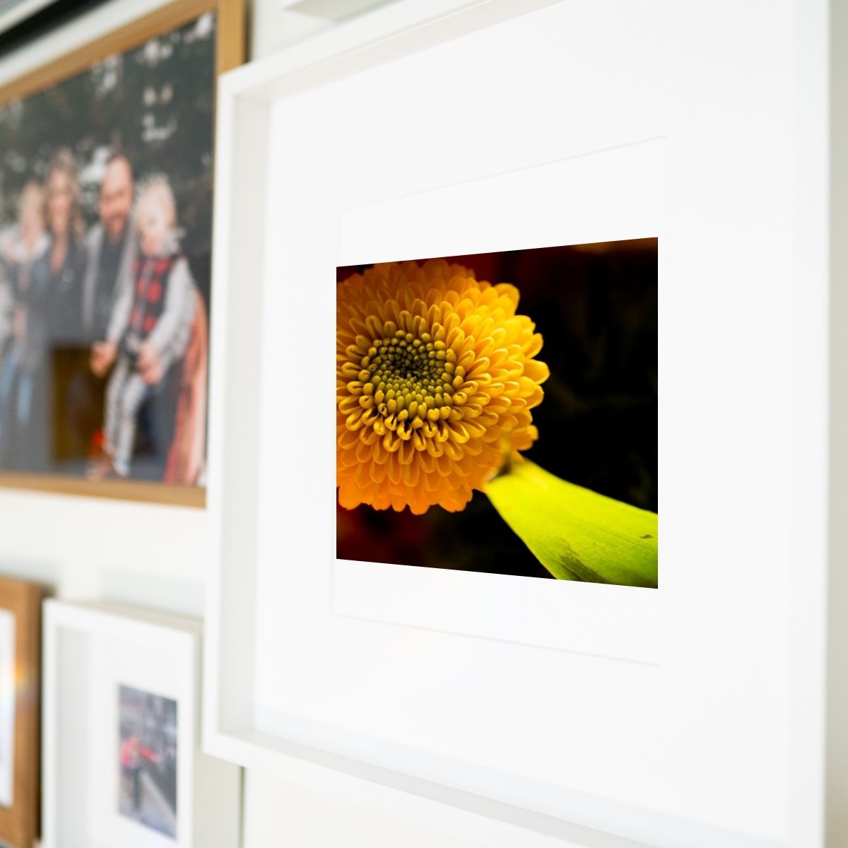 Be Someone’s Sunshine – Vibrant Yellow Chrysanthemum Art Print, Textured Macro Photography, Elegant Colorful Home Decor