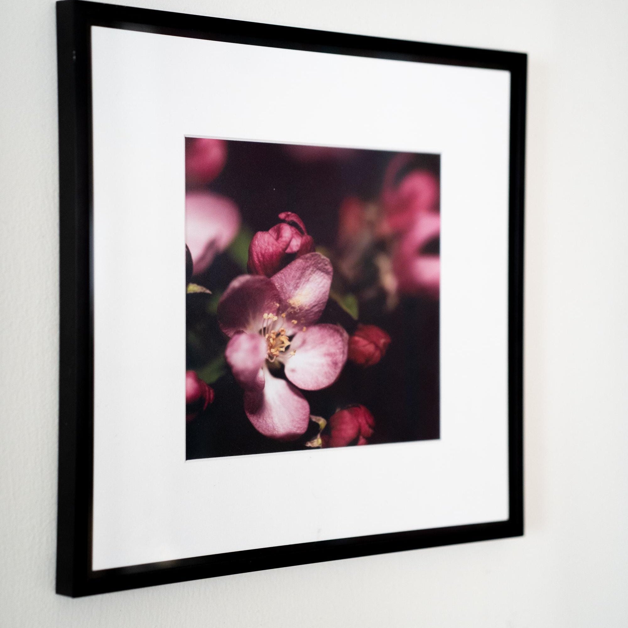 Pink Blossom Macro Photography Print – Nature Wall Art, Floral Close-Up, Spring Bloom, Botanical Fine Art, Home Decor