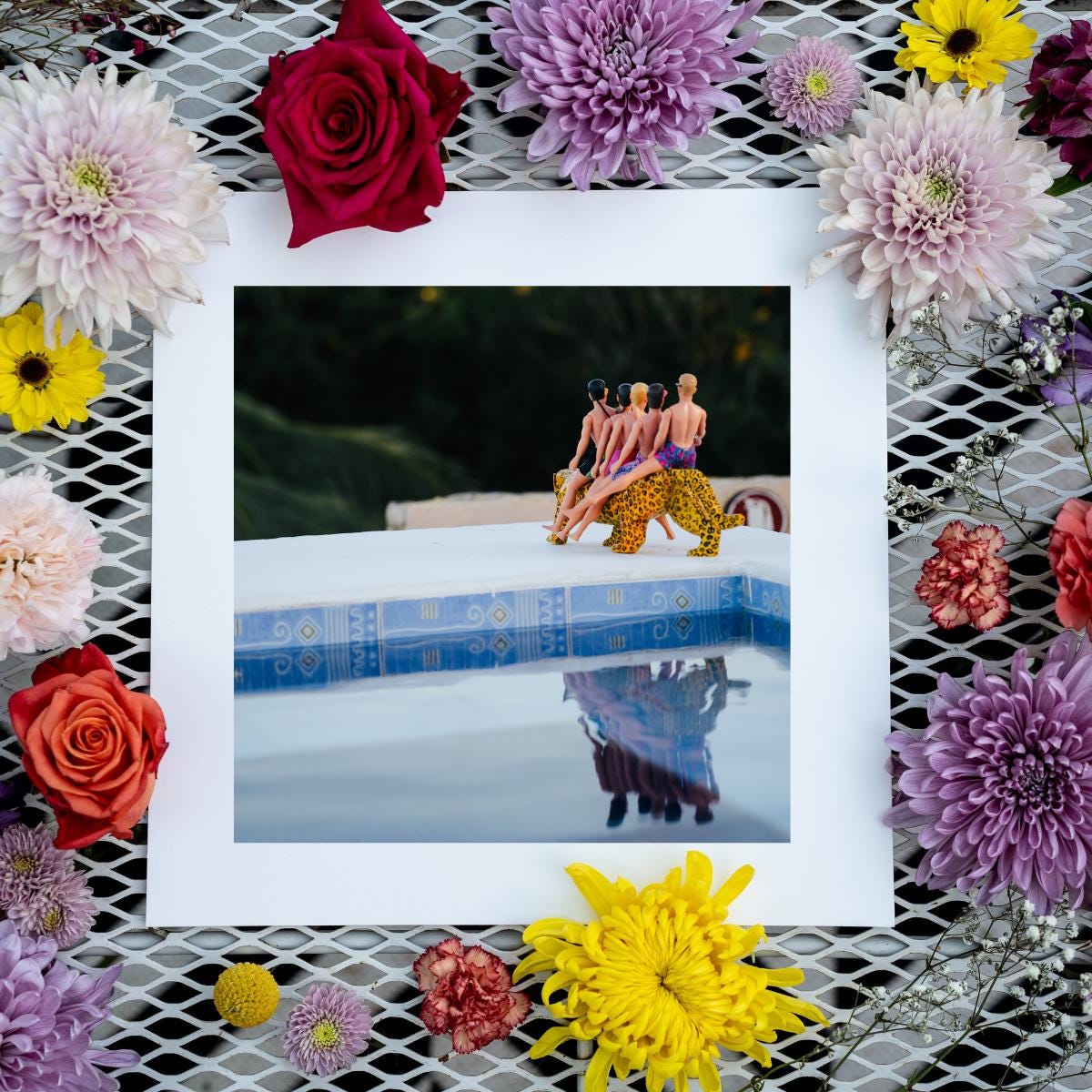 Jaguar Throne – Resort Royalty in Akumal, Mexico, Fun Home Decor Gift