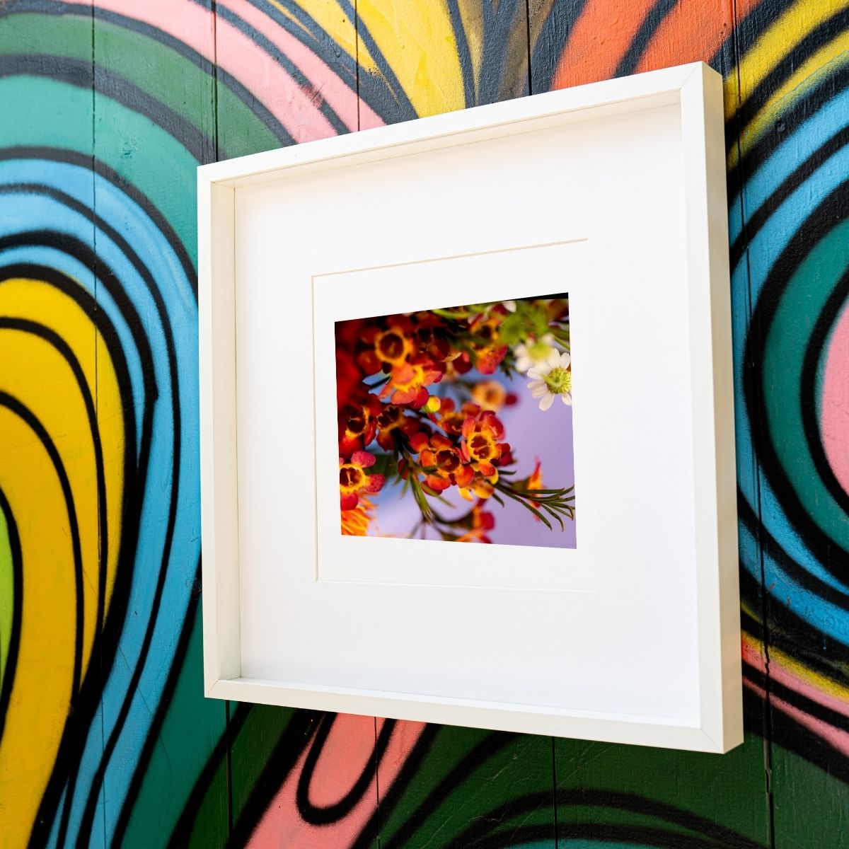 Abounding Blooms - Macro Photography Vibrant Happy Flower Art Print