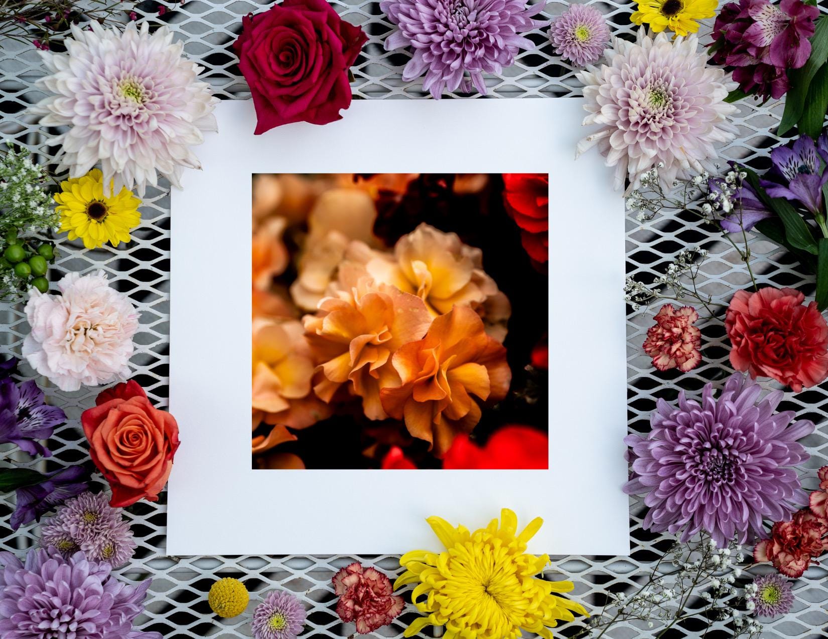 Golden Orange Bloom Fine Art Print – Housewarming Gift Floral Wall Art, Macro Flower Photography, Nature Home Decor