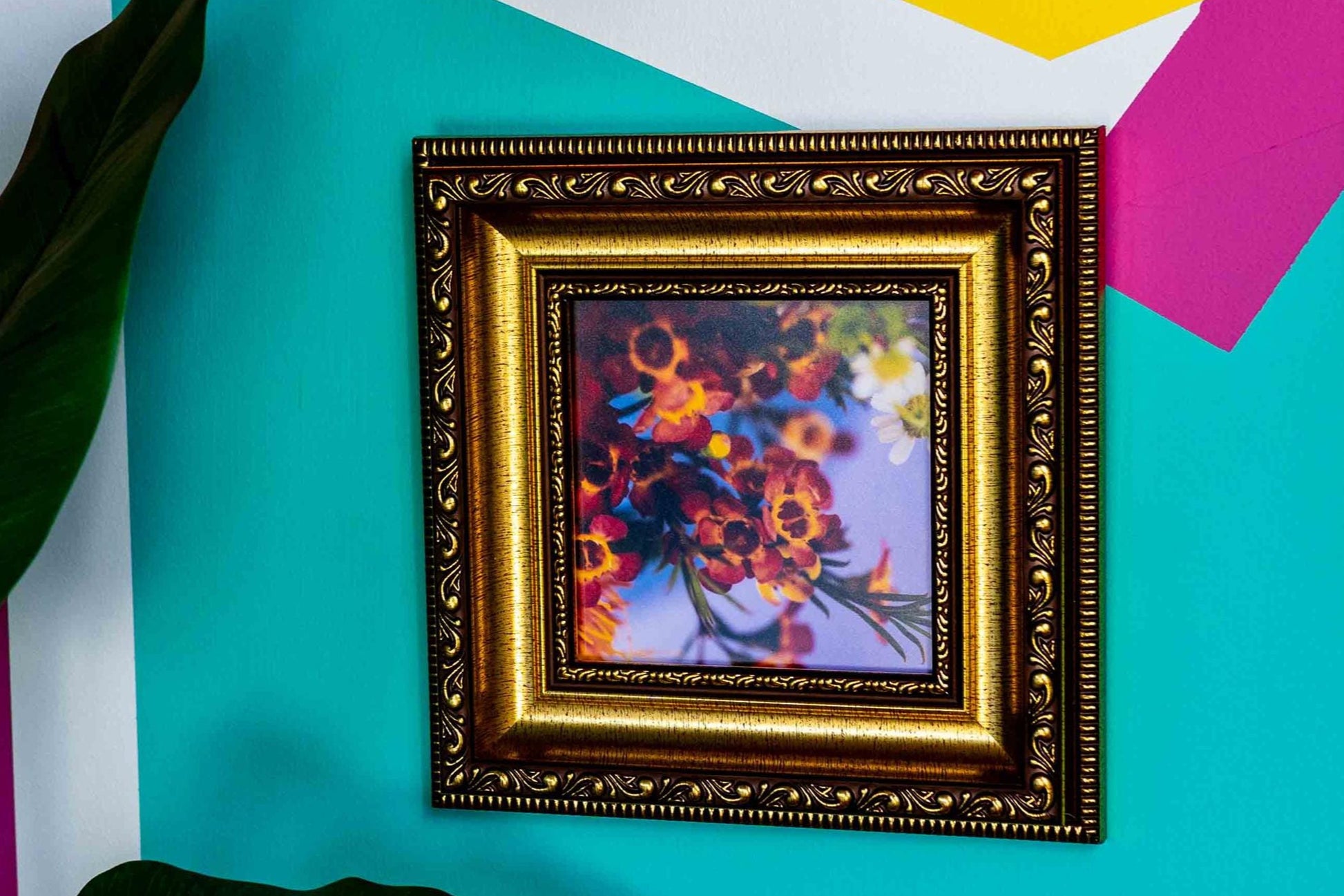 Abounding Blooms - Macro Photography Vibrant Happy Flower Art Print