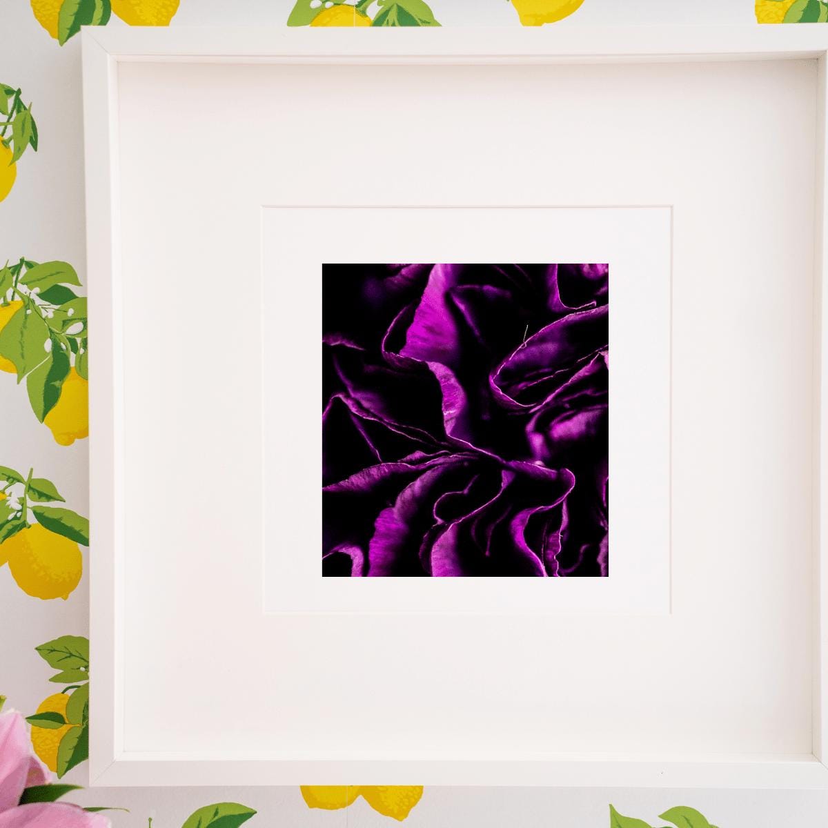 Purple Bloom - Macro Flower Fine Art Print | Bold & Vibrant Floral Photography | Violet Wall Decor