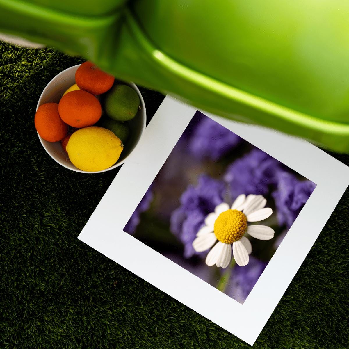 Delicate Daisy Macro Photography Print | Fine Art Floral Wall Decor | Nature-Inspired Botanical Print