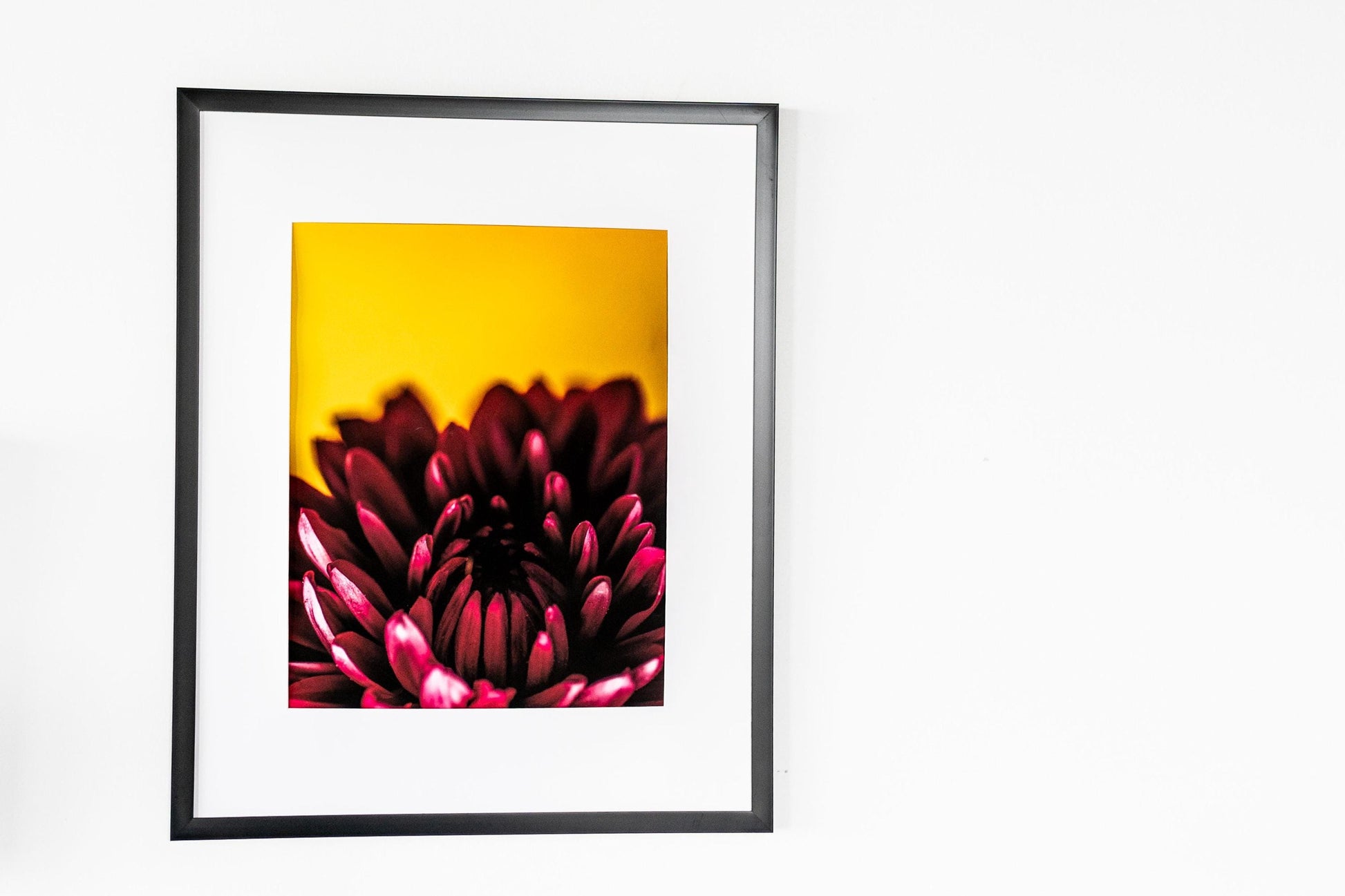 Bold Dahlia Macro Photography Print | Fine Art Floral Wall Decor | Vibrant Botanical Nature Print