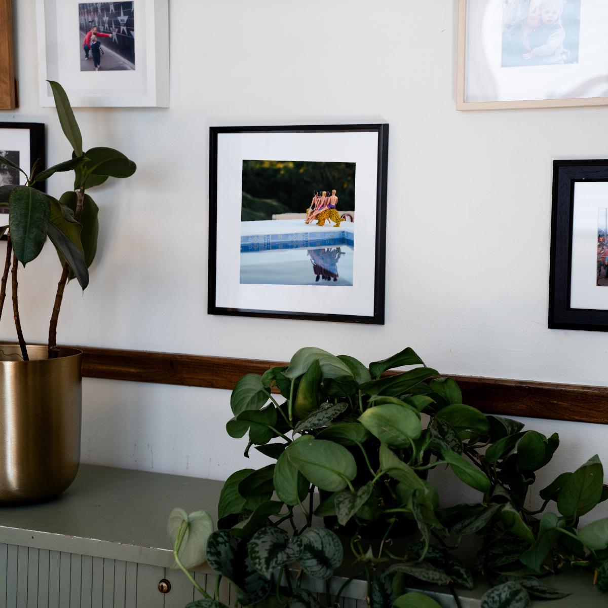 Jaguar Throne – Resort Royalty in Akumal, Mexico, Fun Home Decor Gift