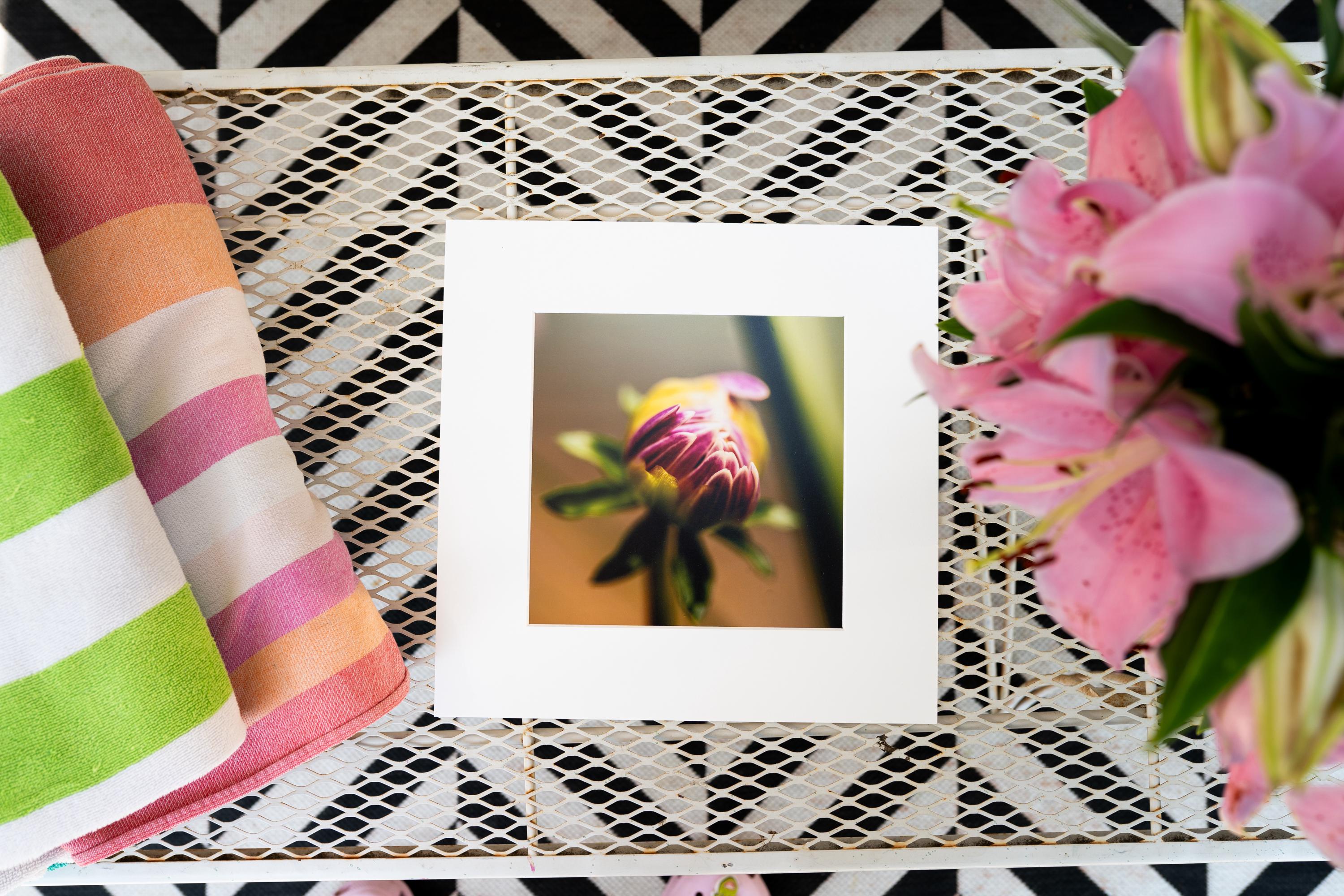 Macro Photography Print – Nature Wall Art, Floral Close-Up, Spring Bloom, Botanical Fine Art, Home Decor