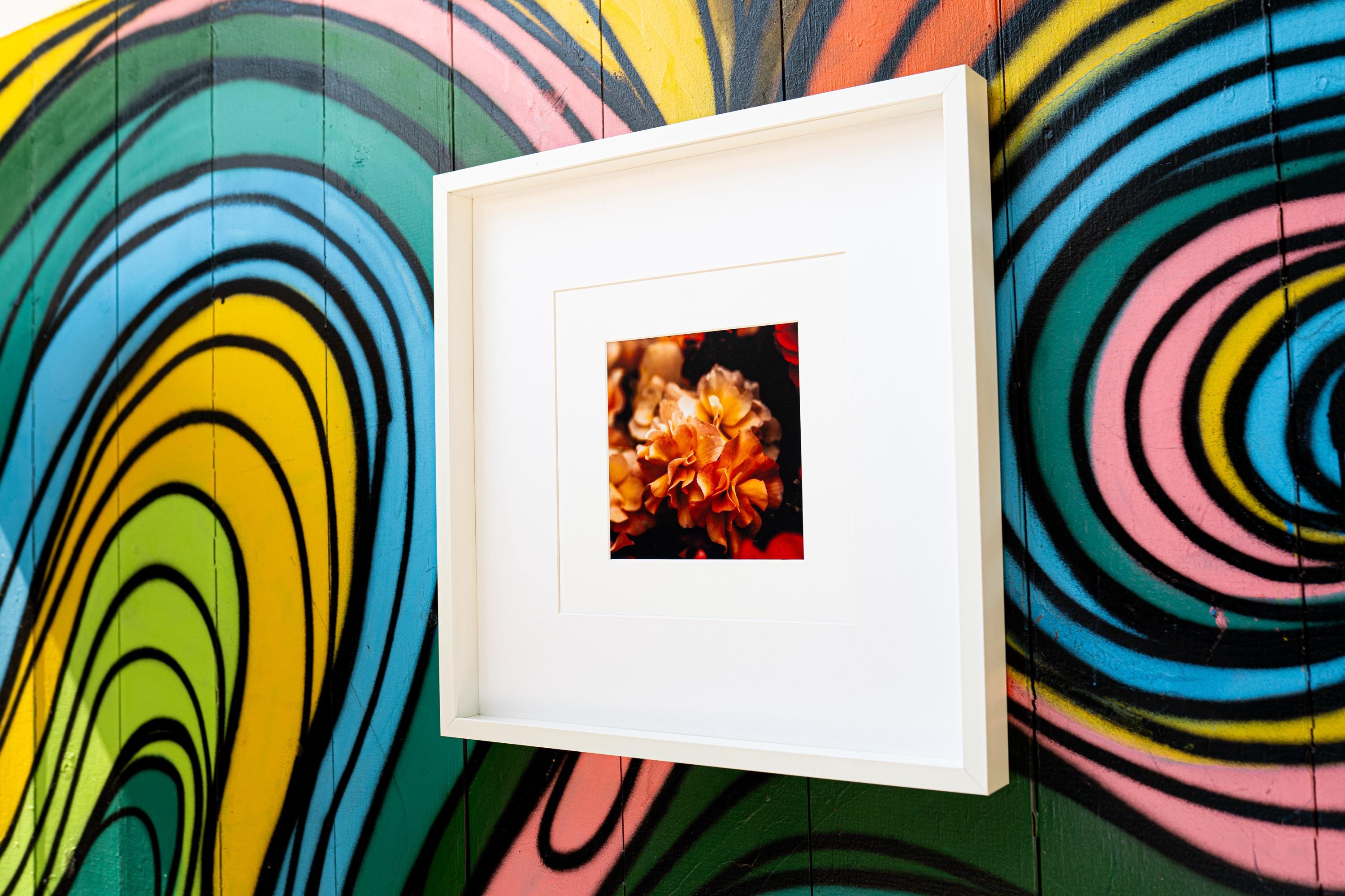 Golden Orange Bloom Fine Art Print – Housewarming Gift Floral Wall Art, Macro Flower Photography, Nature Home Decor