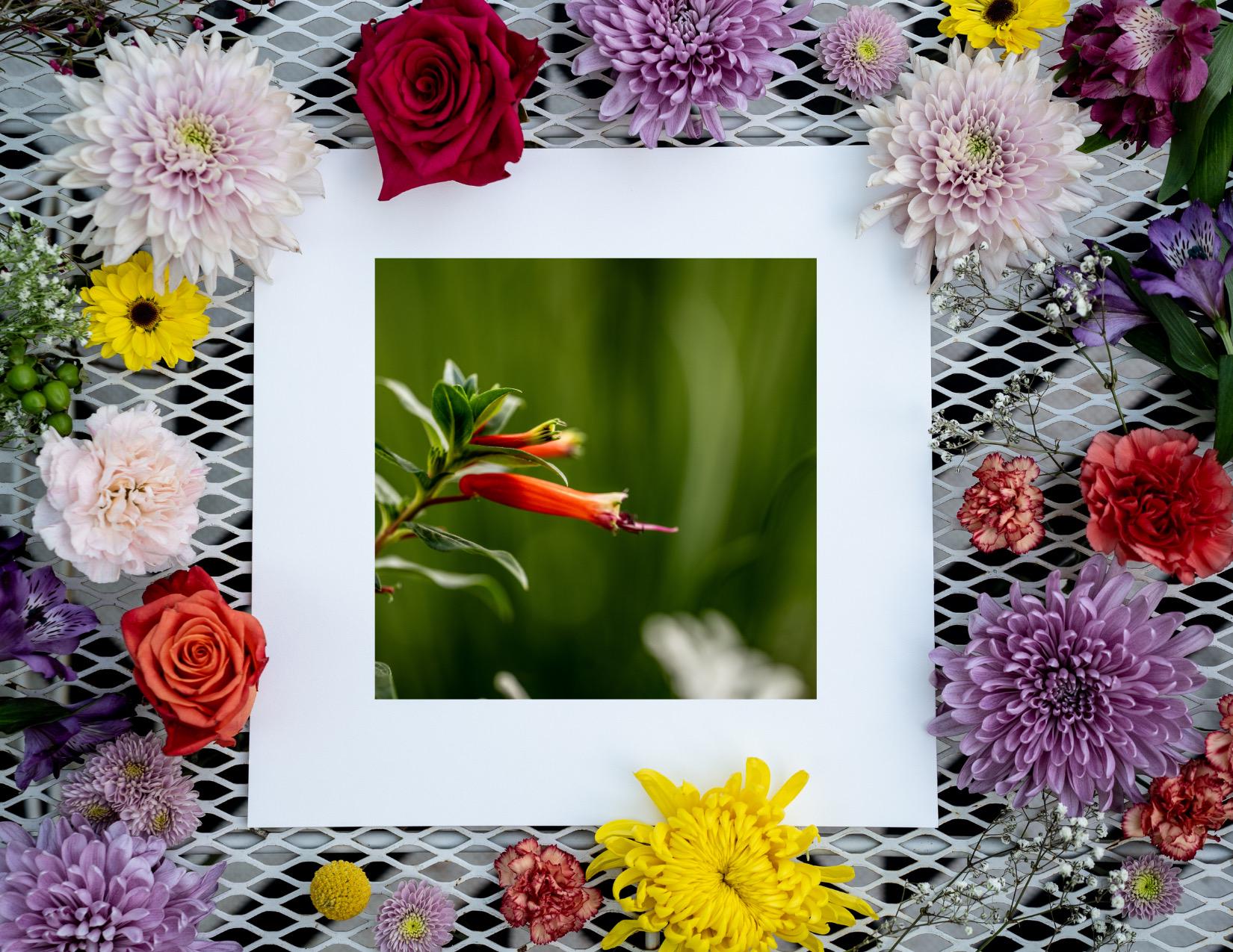 A fine art print featuring golden-orange flowers with delicate petals, placed within a white mat and surrounded by an arrangement of colorful fresh flowers, including roses, daisies, and chrysanthemums.