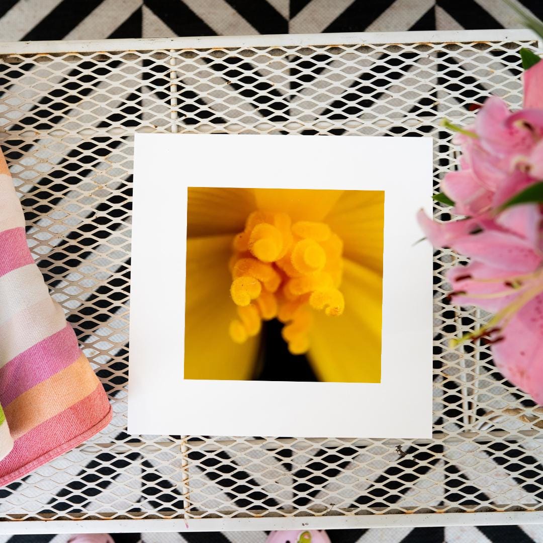Yellow Burst - Yellow Flower Fine Art Print