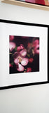 A close-up view of the framed pink blossom photography print hanging on a white wall, adding a touch of botanical beauty to the decor.