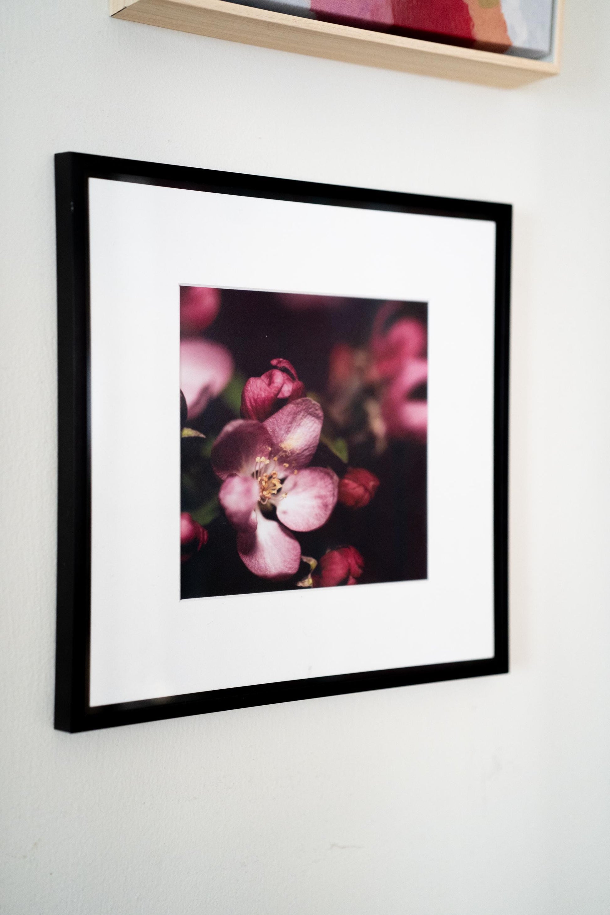 A close-up view of the framed pink blossom photography print hanging on a white wall, adding a touch of botanical beauty to the decor.
