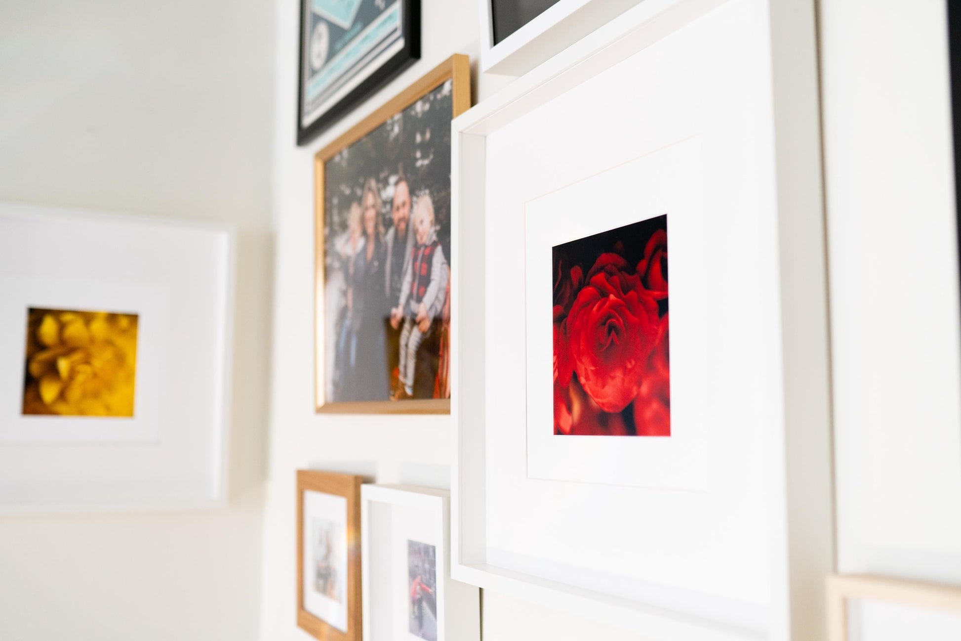 Red Begonia Flower Print: Romantic Floral Photography