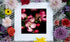 A fine art print featuring a macro photography image of pink blossoms, displayed with colorful flowers on a white mesh background.