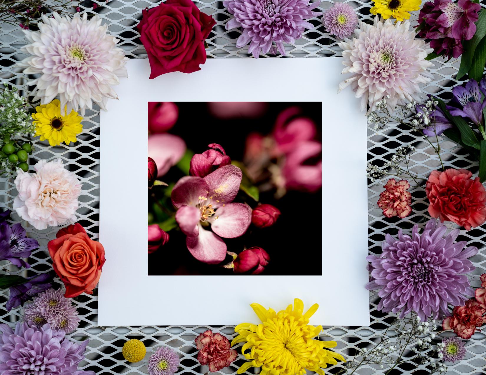 A fine art print featuring a macro photography image of pink blossoms, displayed with colorful flowers on a white mesh background.
