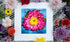 Petal Pop - Macro Flower Fine Art Print