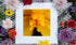 Yellow Burst - Yellow Flower Fine Art Print