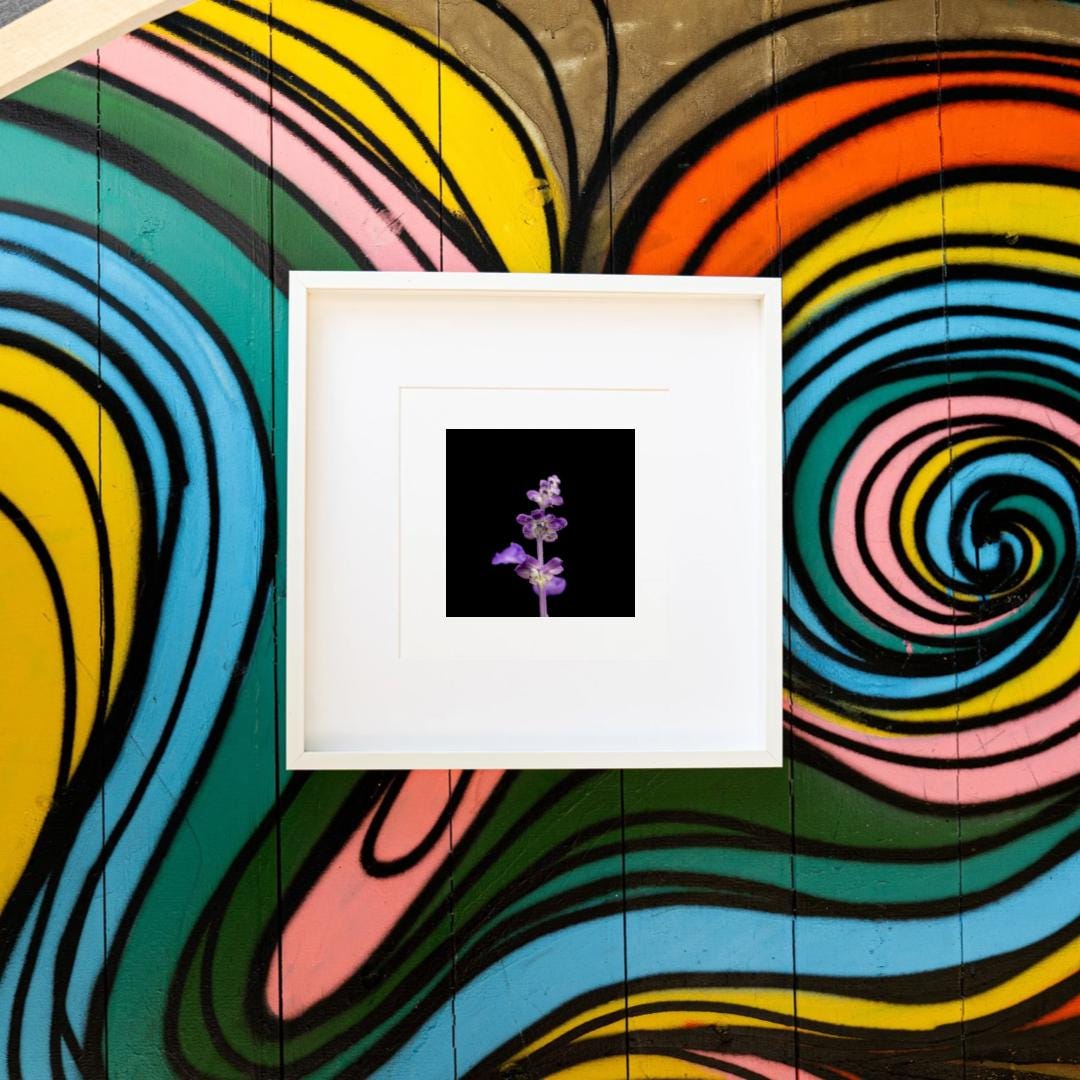 A framed print of a vibrant purple sage flower on a bold, colorful graffiti wall, adding contrast and visual interest.
