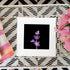 A close-up macro photograph of a delicate purple sage flower against a deep black background, framed in white and displayed on a metal mesh surface.