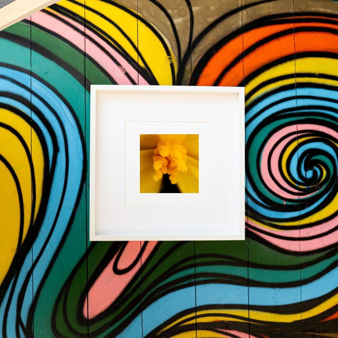 Yellow Burst - Yellow Flower Fine Art Print