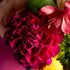 Lovely Day – Bold Abstract Textured Magenta Peony Floral Art Print