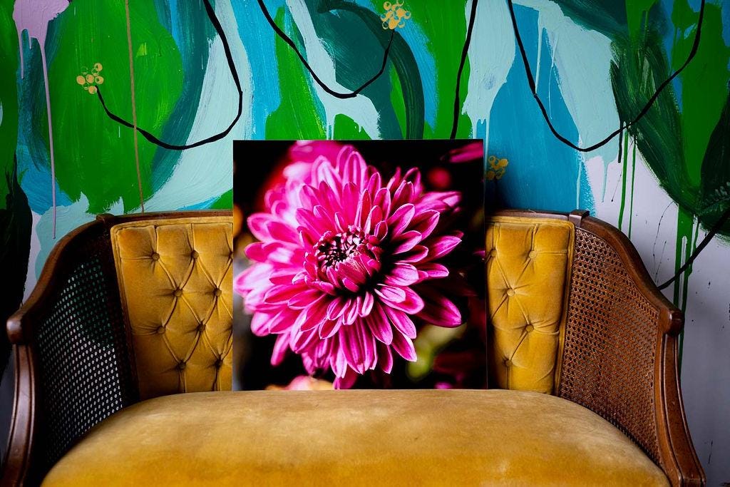 Happy Place - Pink Chrysanthemum Macro Photography Textured Vibrant Flower Art Print