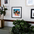A framed fine art print featuring vintage New Kids on the Block dolls, Danny and Jordan, styled in retro swimwear and posed in a tropical rooftop scene with palm trees in the background. Danny is lounging on a yellow beach chair wearing pink shorts, while Jordan stands confidently, sporting sunglasses, a braid, and patterned swim trunks. The framed print is displayed in a modern interior setting, surrounded by lush green plants