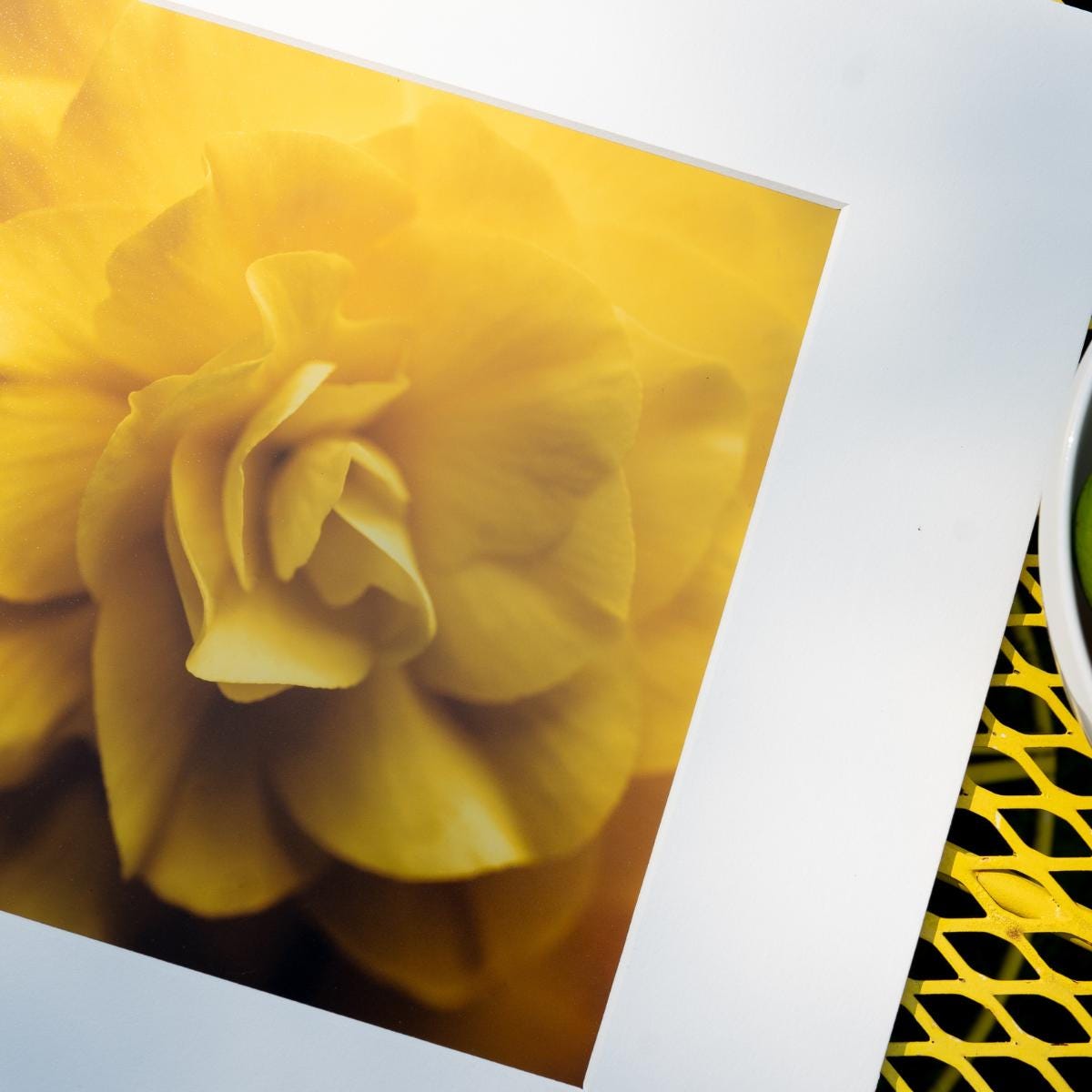 A soft-focus macro photograph of a golden-yellow flower, capturing the delicate curves and intricate layers of its petals. The warm tones and gentle blur create a dreamy, elegant composition, making this floral image a perfect piece for nature-inspired or minimalist decor.