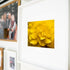 A framed fine art print featuring a soft-focus macro photograph of a golden-yellow flower, elegantly displayed on a modern gallery wall. The warm floral tones contrast beautifully with the surrounding family and lifestyle photography, adding a bright and sophisticated touch to the space.