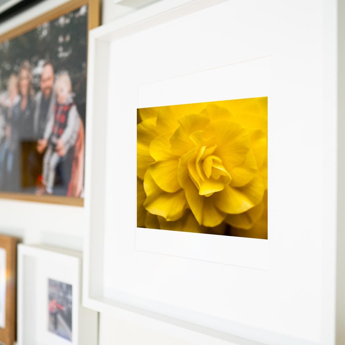 A framed fine art print featuring a soft-focus macro photograph of a golden-yellow flower, elegantly displayed on a modern gallery wall. The warm floral tones contrast beautifully with the surrounding family and lifestyle photography, adding a bright and sophisticated touch to the space.