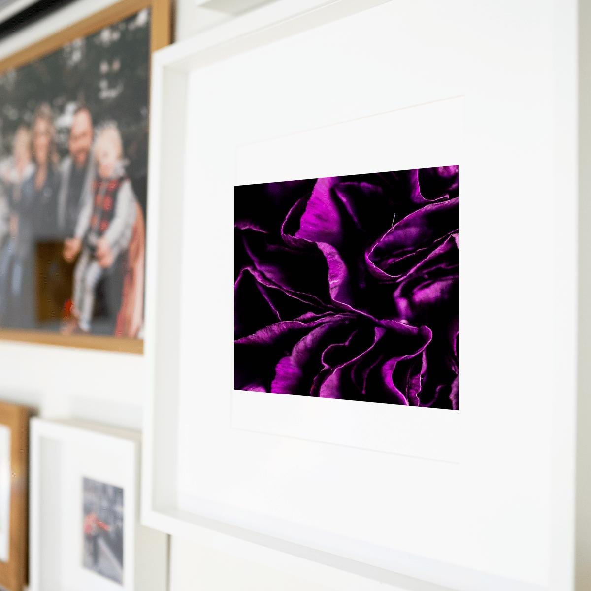 Purple Bloom - Macro Flower Fine Art Print | Bold & Vibrant Floral Photography | Violet Wall Decor