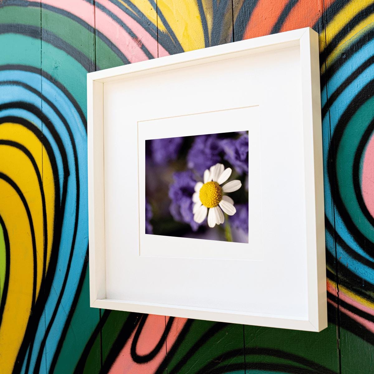 Delicate Daisy Macro Photography Print | Fine Art Floral Wall Decor | Nature-Inspired Botanical Print