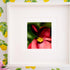 A framed fine art print featuring a macro photograph of a deep red begonia with a bright yellow center, set against a lush green background. The artwork is displayed on a lemon-patterned wallpaper, creating a vibrant and refreshing contrast. The combination of botanical elements makes for a striking and elegant decor piece.