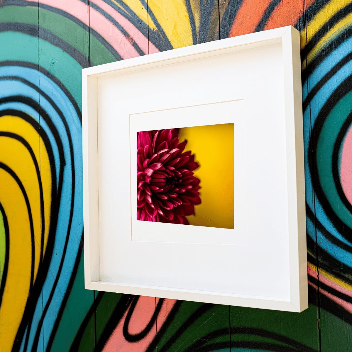 A framed fine art print of a deep magenta dahlia set against a golden-yellow background, displayed on a vibrant, abstract graffiti wall. The bold floral artwork contrasts beautifully with the colorful street art, creating a dynamic and modern aesthetic that blends nature with urban creativity.