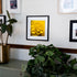 A framed fine art print of a golden-yellow flower, beautifully displayed on a gallery wall alongside other photographs. The black frame adds a modern touch, complementing the surrounding greenery and warm-toned decor. The arrangement creates a cozy and inviting space, blending nature-inspired art with contemporary home styling.