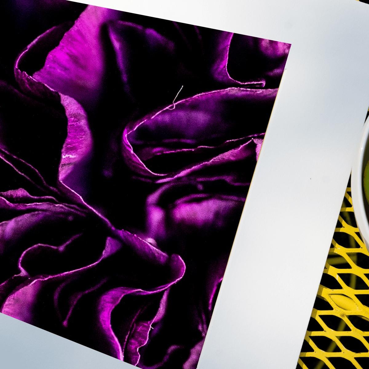 Purple Bloom - Macro Flower Fine Art Print | Bold & Vibrant Floral Photography | Violet Wall Decor