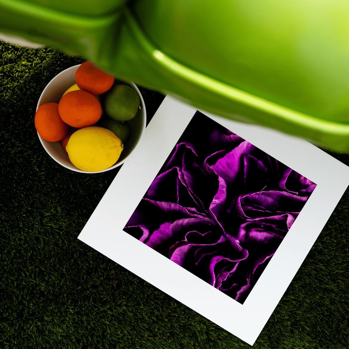 Purple Bloom - Macro Flower Fine Art Print | Bold & Vibrant Floral Photography | Violet Wall Decor