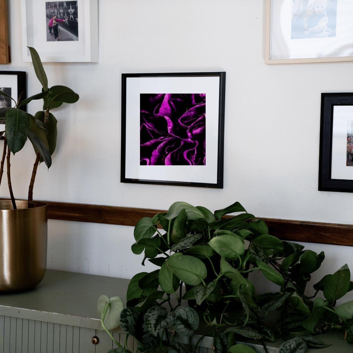 Purple Bloom - Macro Flower Fine Art Print | Bold & Vibrant Floral Photography | Violet Wall Decor