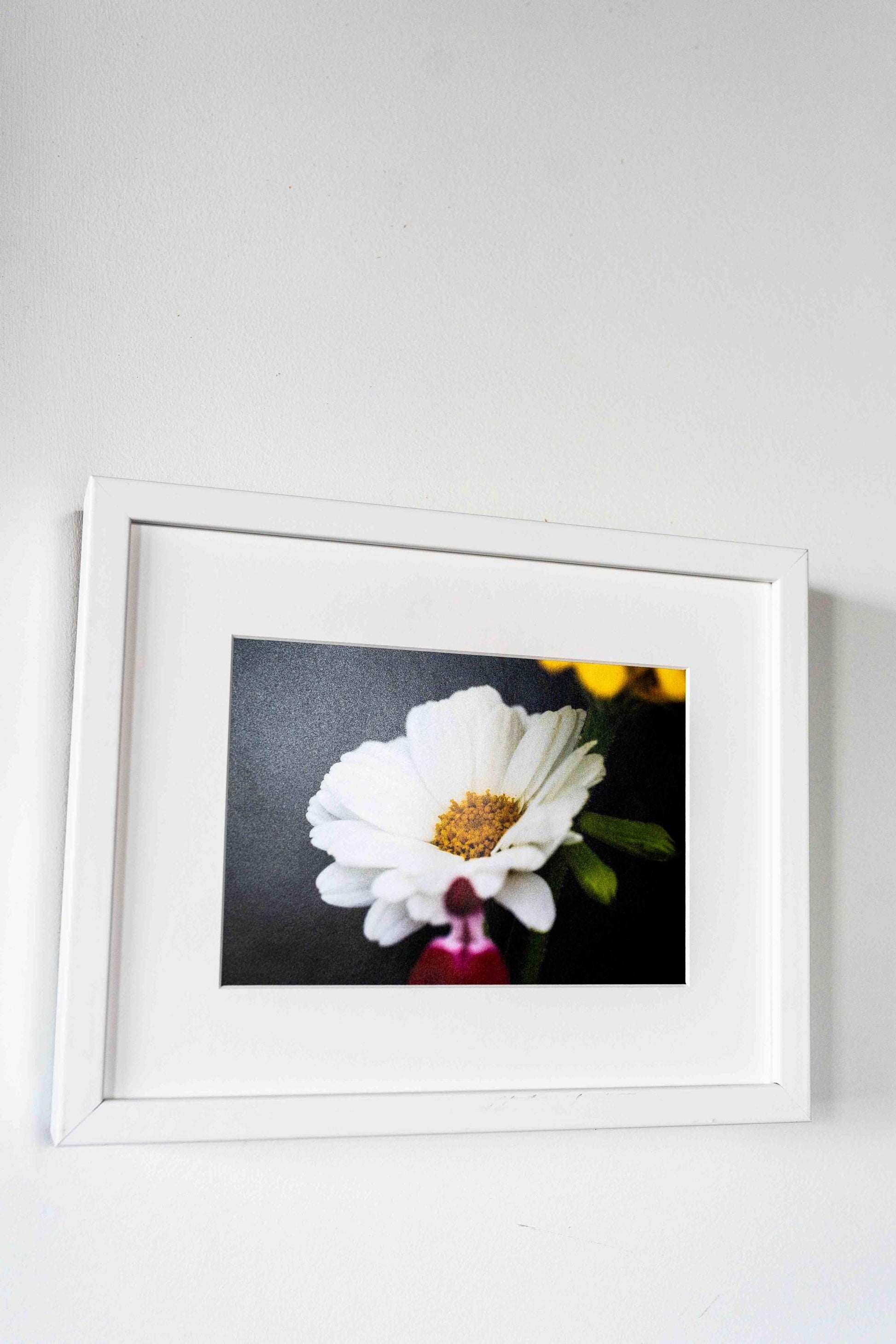 White Wildflower Macro Photography Print: Elegant Floral Fine Art