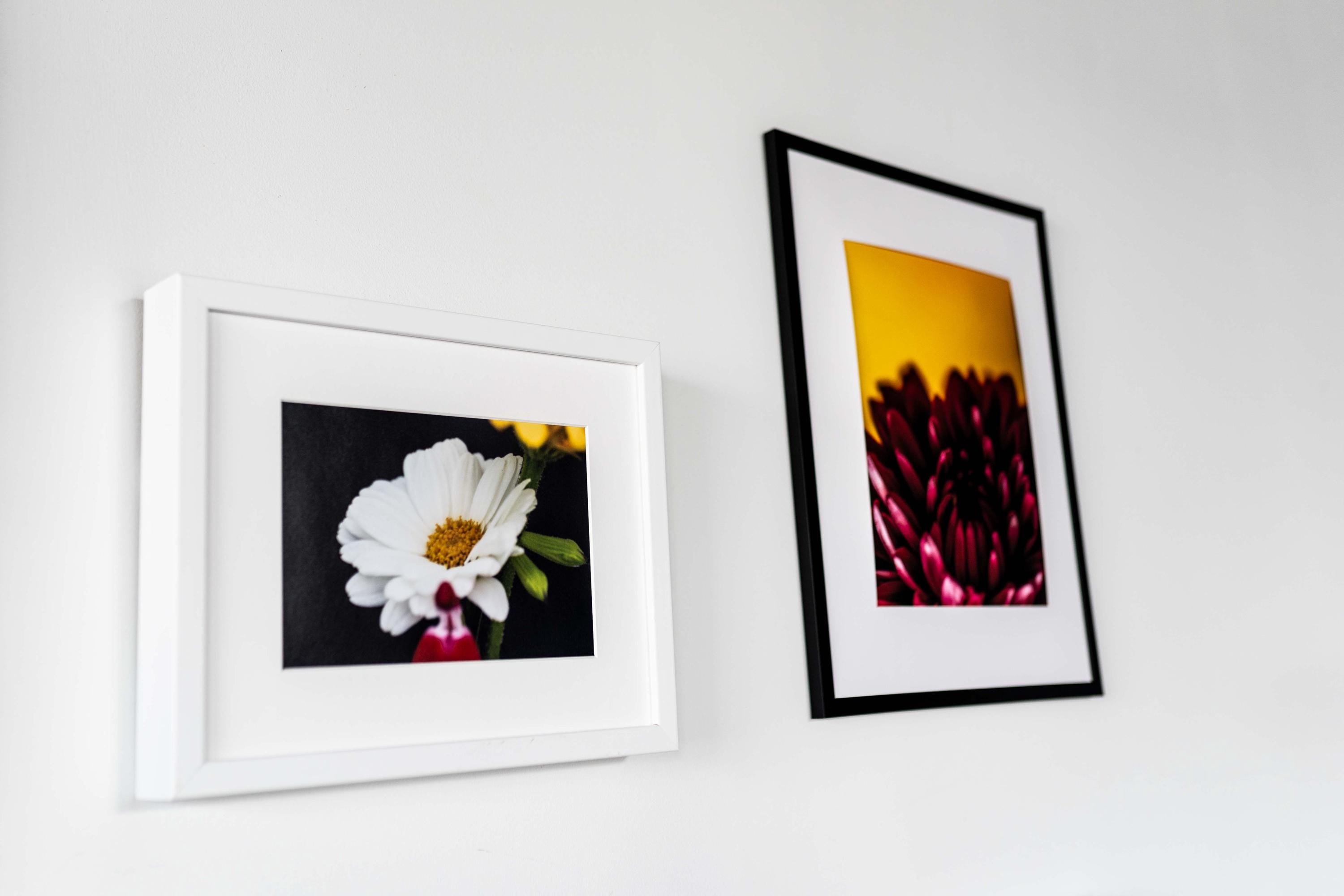 White Wildflower Macro Photography Print: Elegant Floral Fine Art