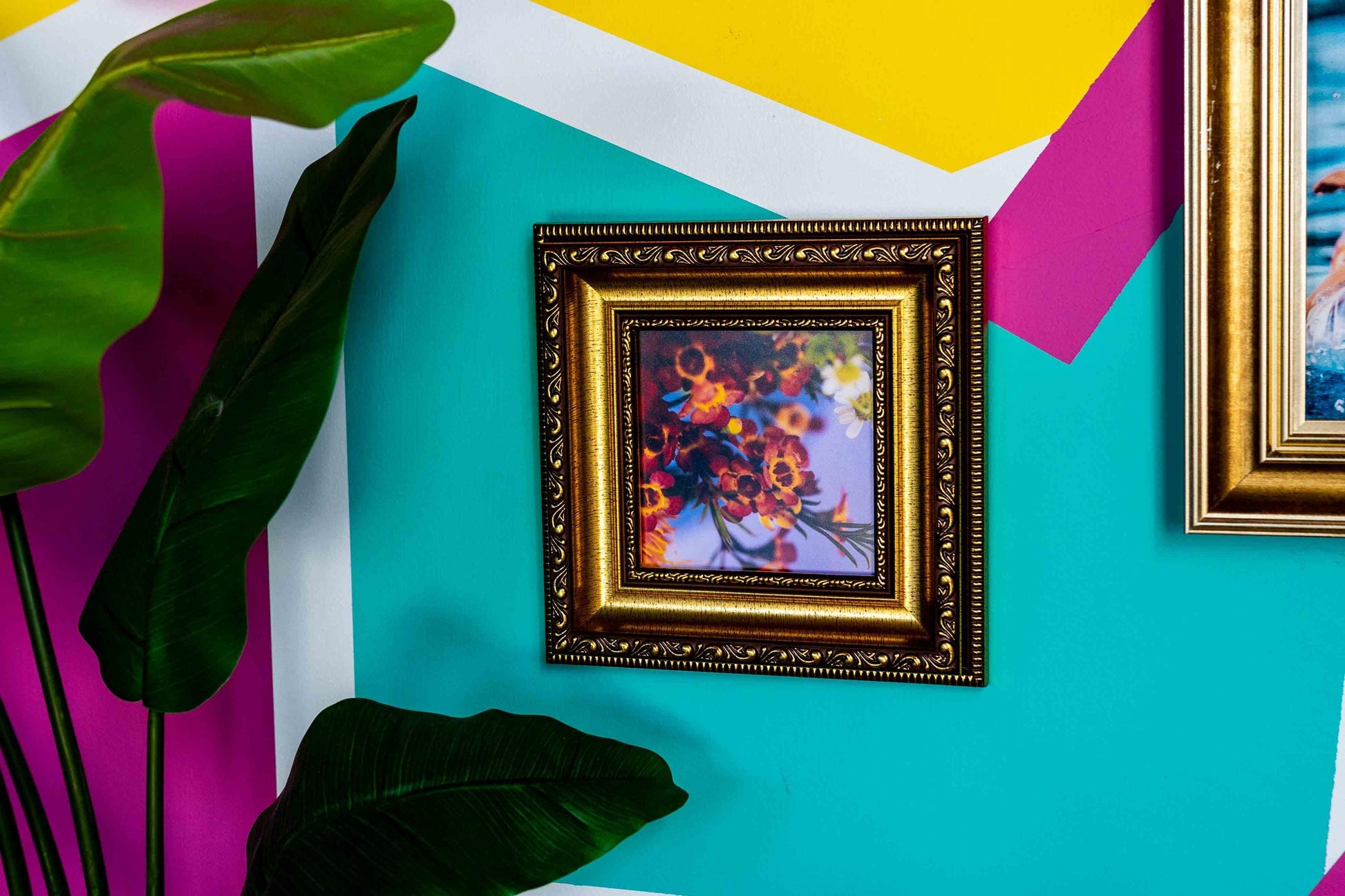 Abounding Blooms - Macro Photography Vibrant Happy Flower Art Print