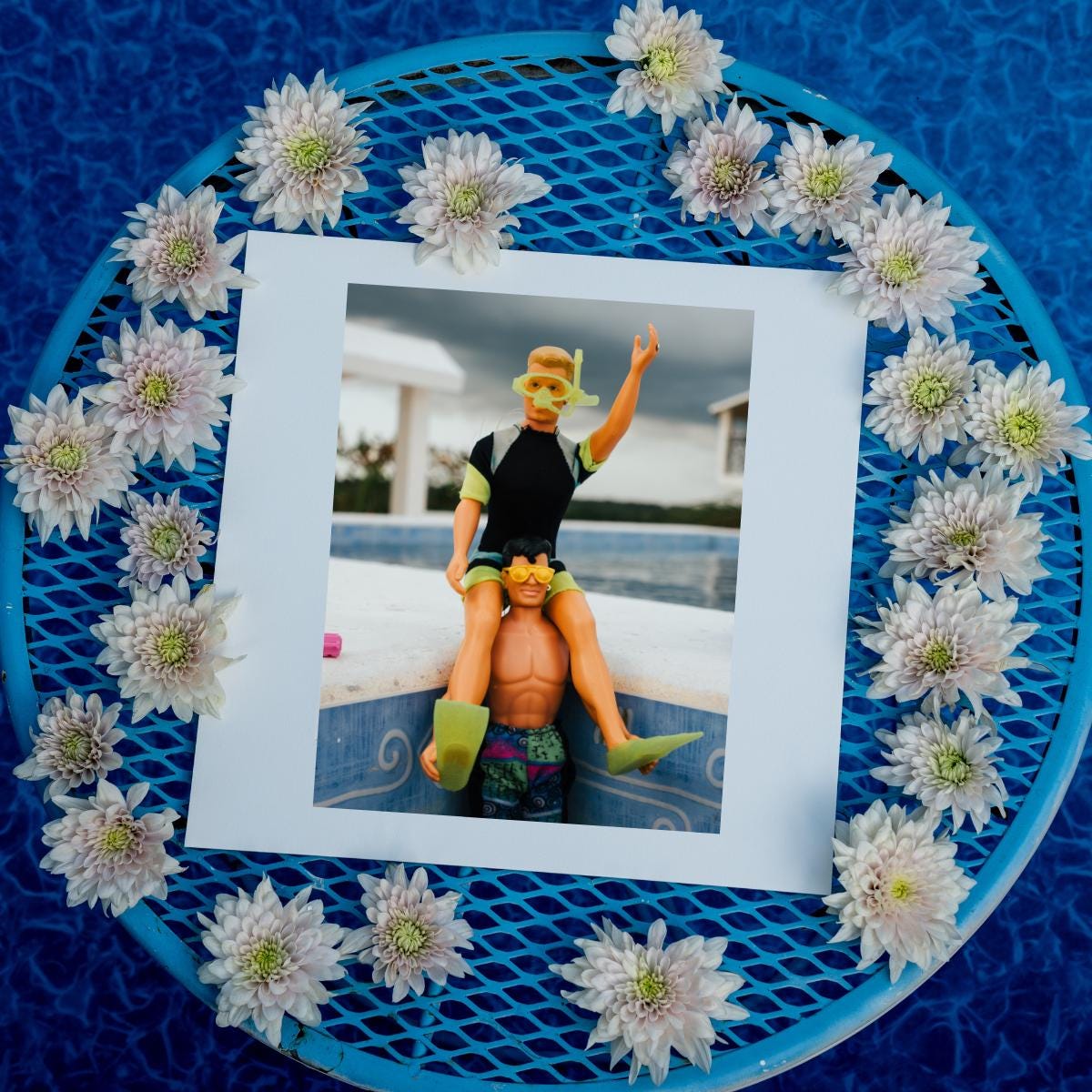 NKOTB Pool Party Print: Chicken Fight Champions, Funny Home Decor